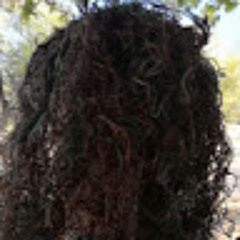 Glenn Ramsaran