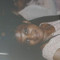 Venisha Johnson