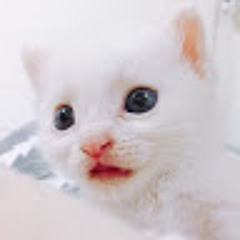 백설