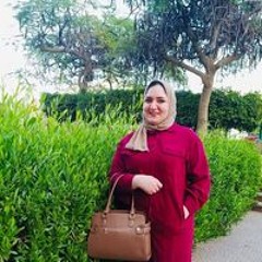 Samar E Ouda