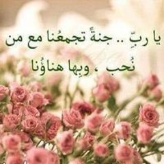 إيمان هاني
