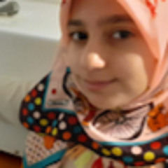 Dorsa Soltani Neshan