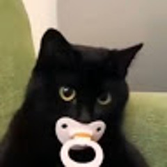 Елизавета Моисеева