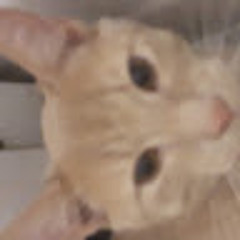User 20783421