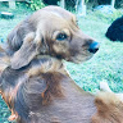 Johne_56