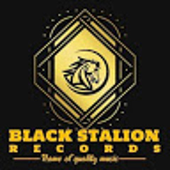 black stallion media