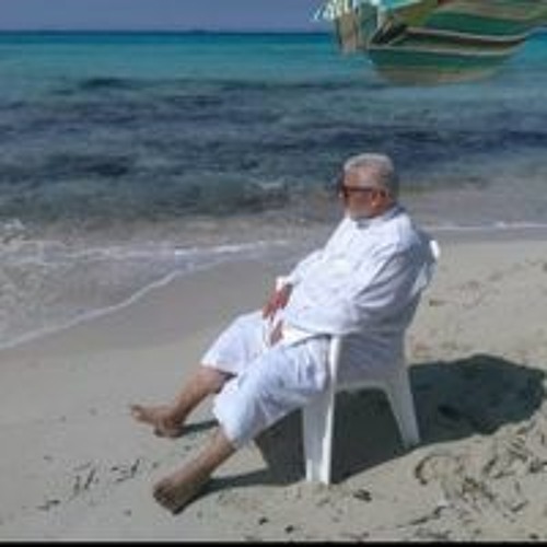 Ali Kamer’s avatar