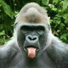 aoro