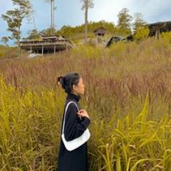 Nguyễn Trâm Anh