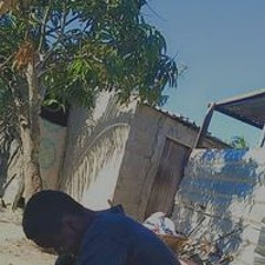Gabriel Bambo jr