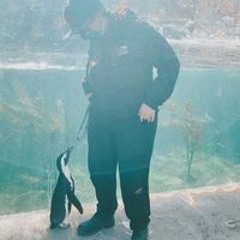 Rae McLaughlin-Wallace