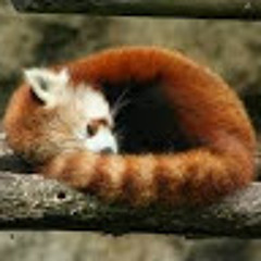 Мілана Лінійчук