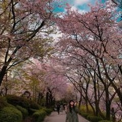 류민지
