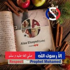 Alaa Elsayed