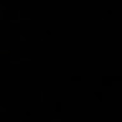 M_te.369