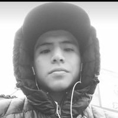 Macolins LB