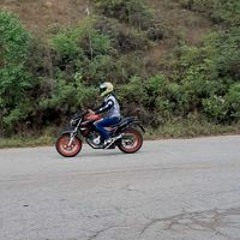 Marcos Vinicius Vinicius