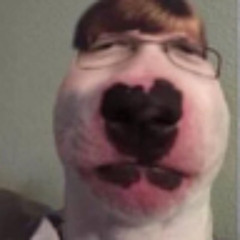 Snoards