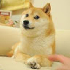 개