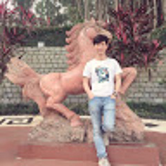 Tung Le Quang