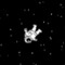space_usagi