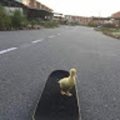 Krishna Alejandro Calsin