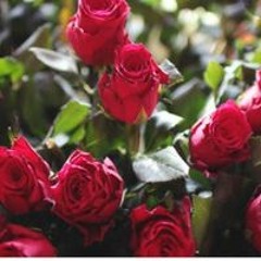 Aash Khan