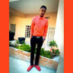 Young Wilmix