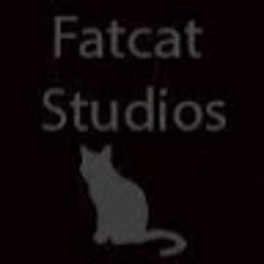Fat Cat Tiny Studio
