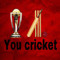 YouCricket