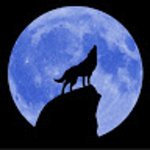 Wolf WaZe’s avatar