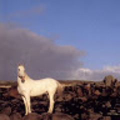 Tessa de Baudinière