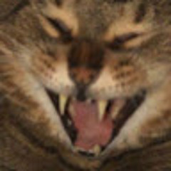 Geth