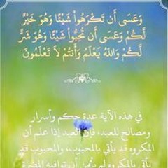 Samir Younes