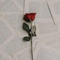 shahad Abdullah