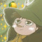 Lillian Layton