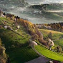 mojtaba