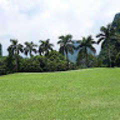 Minh Hoàng