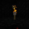 Torches