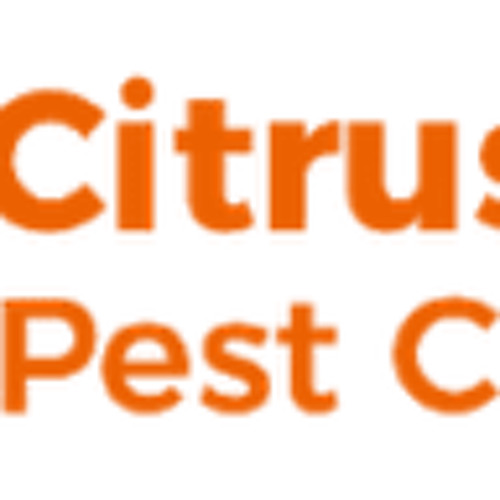 Citrus Heights Pest Contr’s avatar