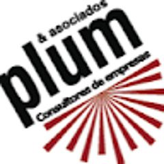 Plum y asociados empresas