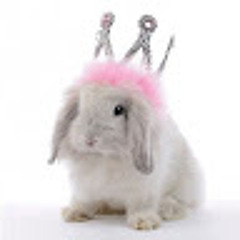 Princess Booplesnoot