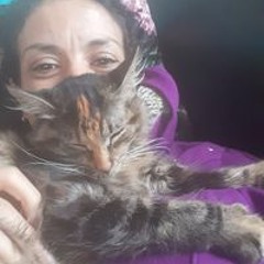 rahma