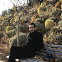 Alireza Shokam