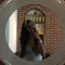 Lexsabeth Heredia