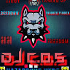 dj c.o.s