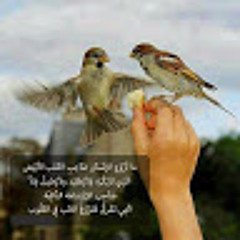 الحمدلله حمد الشاكرين