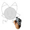 idiotic FurI