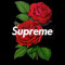 User 174340966