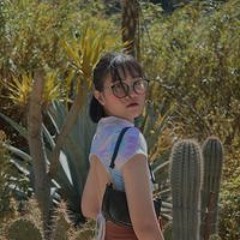 Nguyen Phan Thao Mi